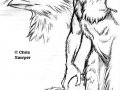 cs-Crowsketches7-06.jpg